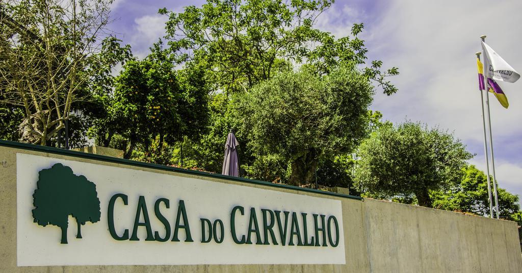 Casa Do Carvalho - Ponte De Lima公寓 外观 照片
